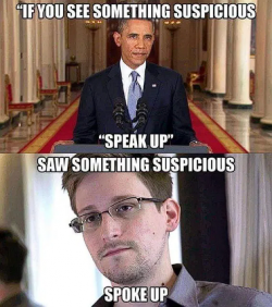 1740453735939.png