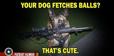 1740453778814.png