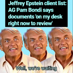 1740534940612.png