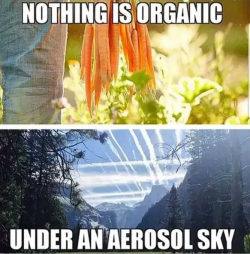 1740535182164.png