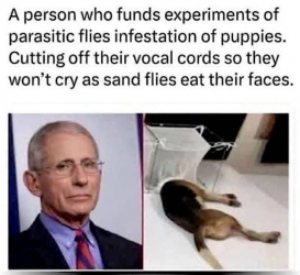 1740568623116.png