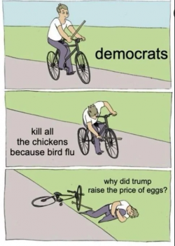 1740609595966.png
