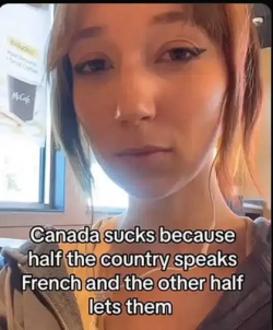 1741020281341.png