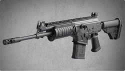 0025385_iwi-galil-ace-rifle-308-16-barrel_600.jpeg