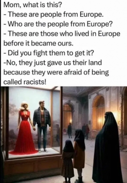 1746188529571.png