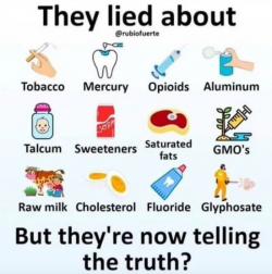 1746233479069.png