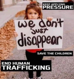 1746234108563.png