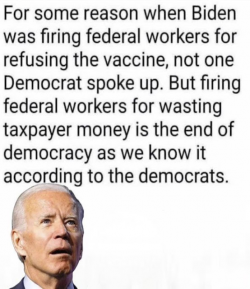 1746266338373.png