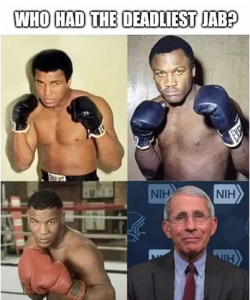 1746299575698.png