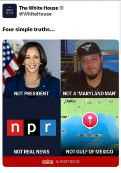 1746300378558.png