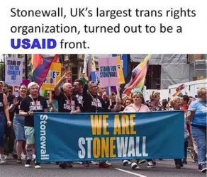 1746301590154.png