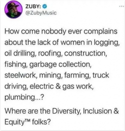 1746305113568.png