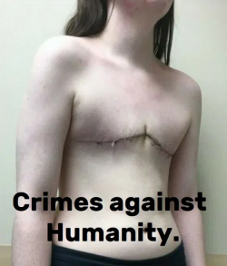 1747092593385.png