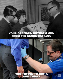 1747137087611.png