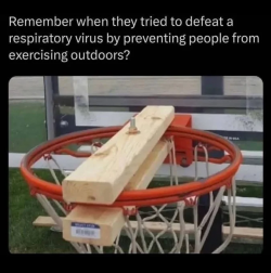 1747264999034.png