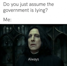 1747265103369.png