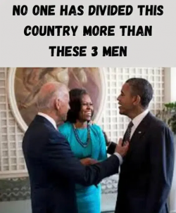 1747529782278.png