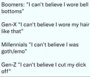 1747581671631.png