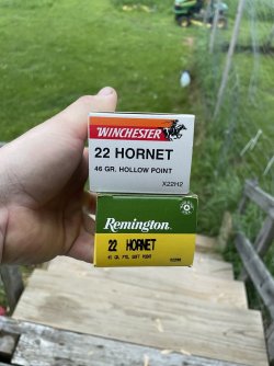 IMG_0937.jpeg