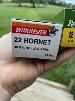 IMG_0939.jpeg
