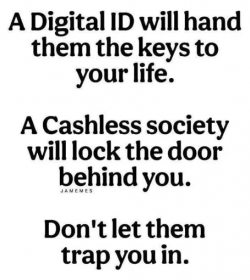 1747956135097.png