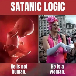 1747958238488.png