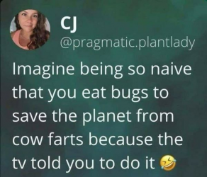 1748081600347.png