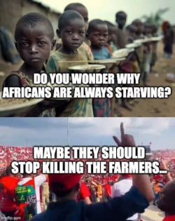 1748081964929.png