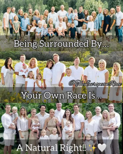 1748118068468.png