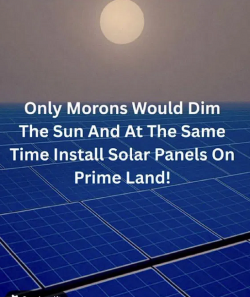 1748118758724.png