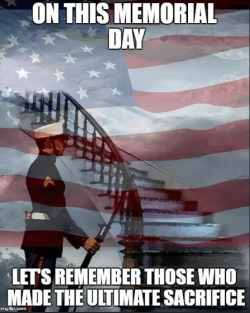 1748119259406.png