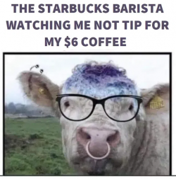 1748223275285.png