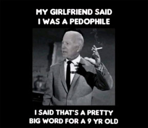 1748225315223.png