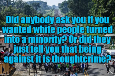 1748385674650.png