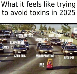 1748712908325.png