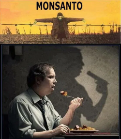 1748731273241.png