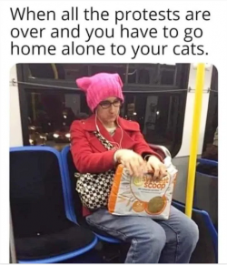 1748806713979.png