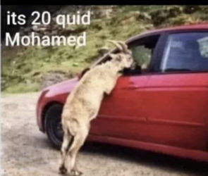 1748917482976.png