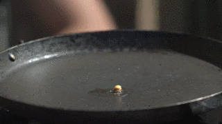giphy (1).gif