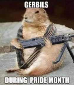 SGFukzA.png