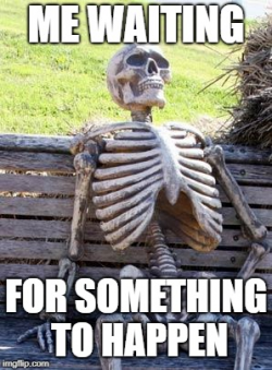 1750078240039.png