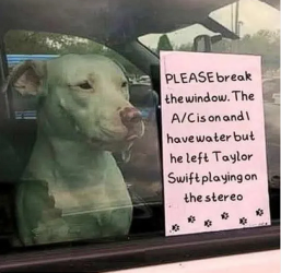 1750899650744.png