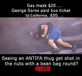 1750944881777.png
