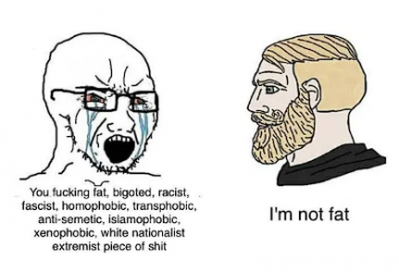 1751247500818.png