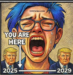 1751325060085.png