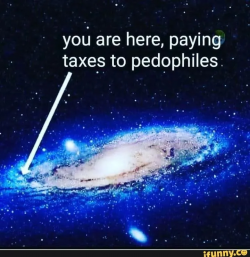 1751319204566.png