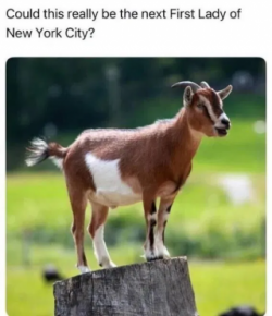 1751337072869.png