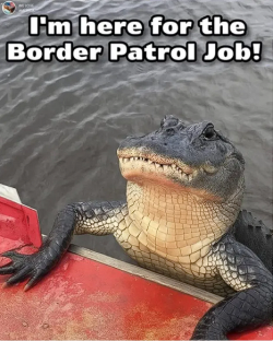 1751576236048.png