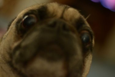 #! DERP SAY WHAT.jpg