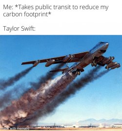 1751920408244.jpeg